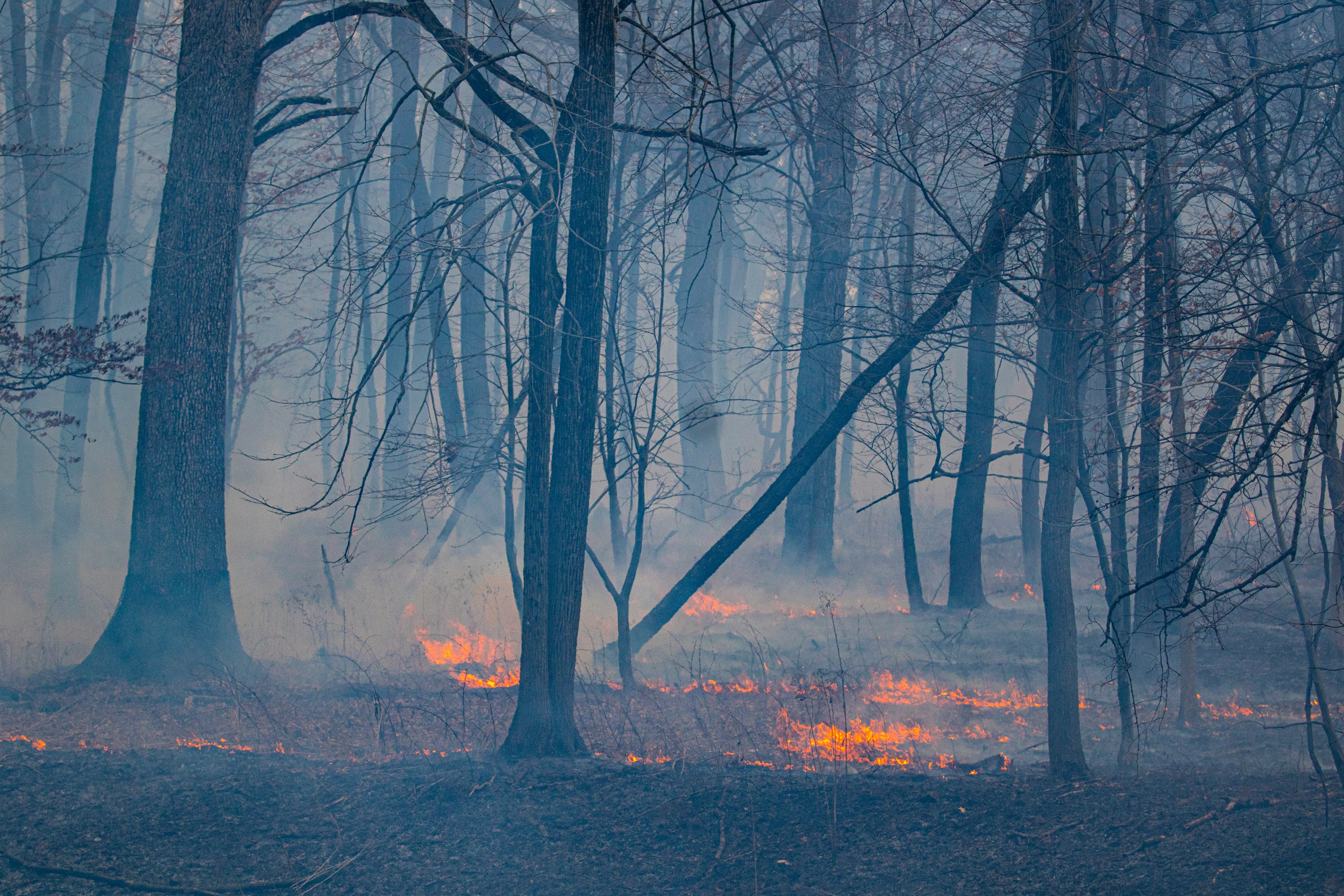 Controlled Burn