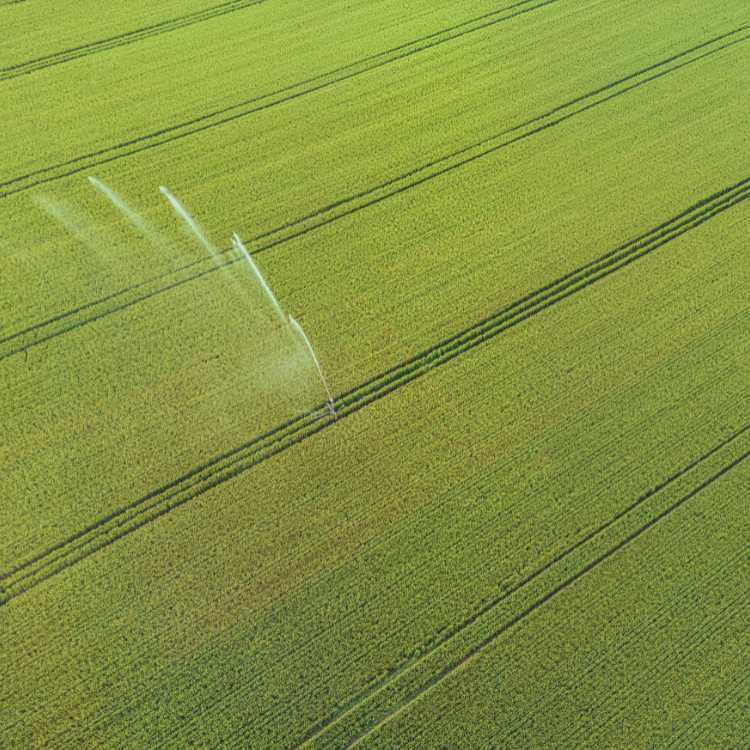 Deep Learning-Based High Resolution Field Level Soil Moisture Mapper from UAVs