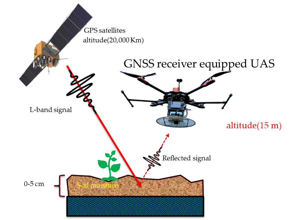 Soil Diagram